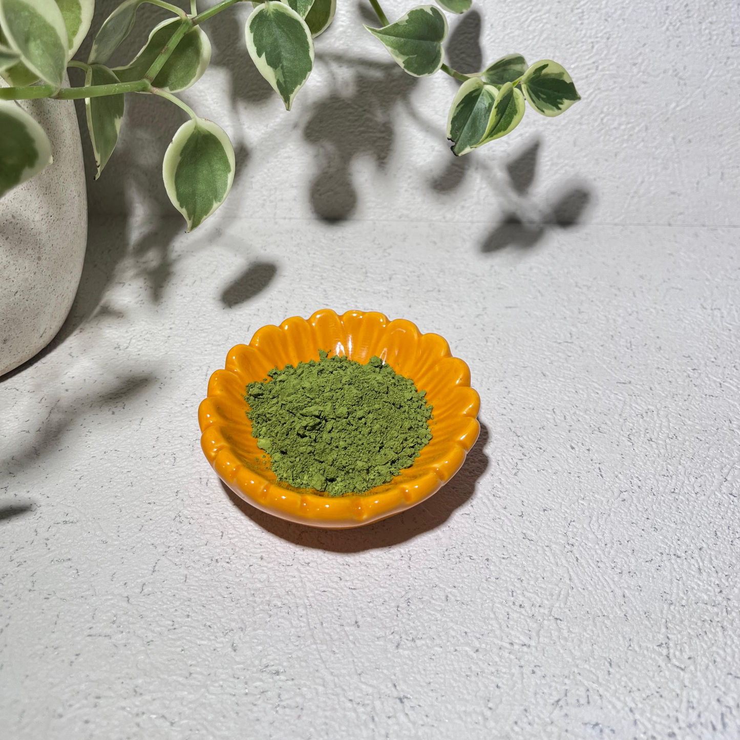 Premium Culinary Matcha